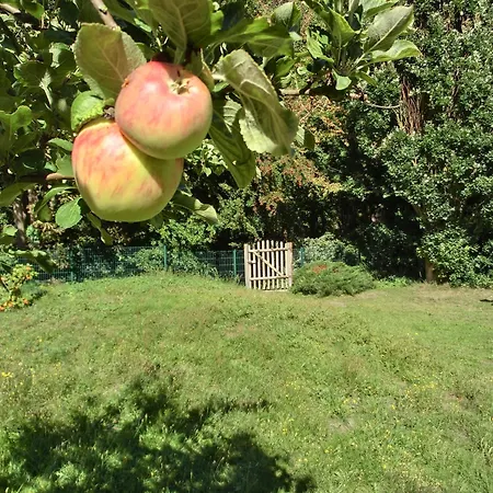 شقة Strandstrasse 60 S14