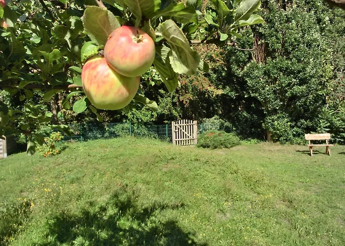 Apartamento Strandstrasse 60 S14